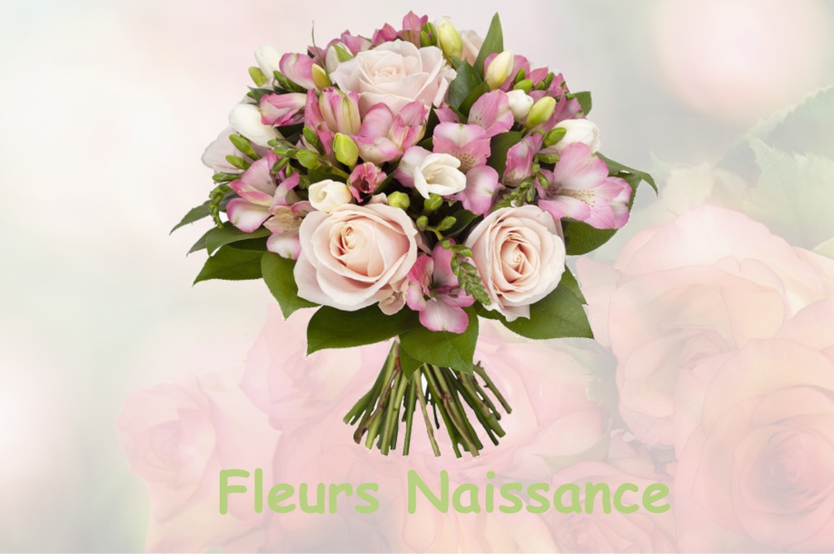 fleurs naissance TAILLY